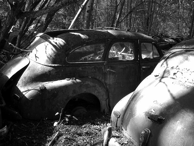 Autofriedhof - 171.JPG - Historischer Autofriedhof,    Gürbetal (CH)